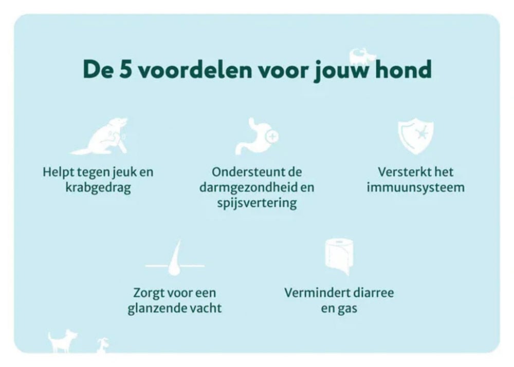 Dogsuppy Anti-Jeuk met Insecten - Probiotica - 60 Stuks - Insect