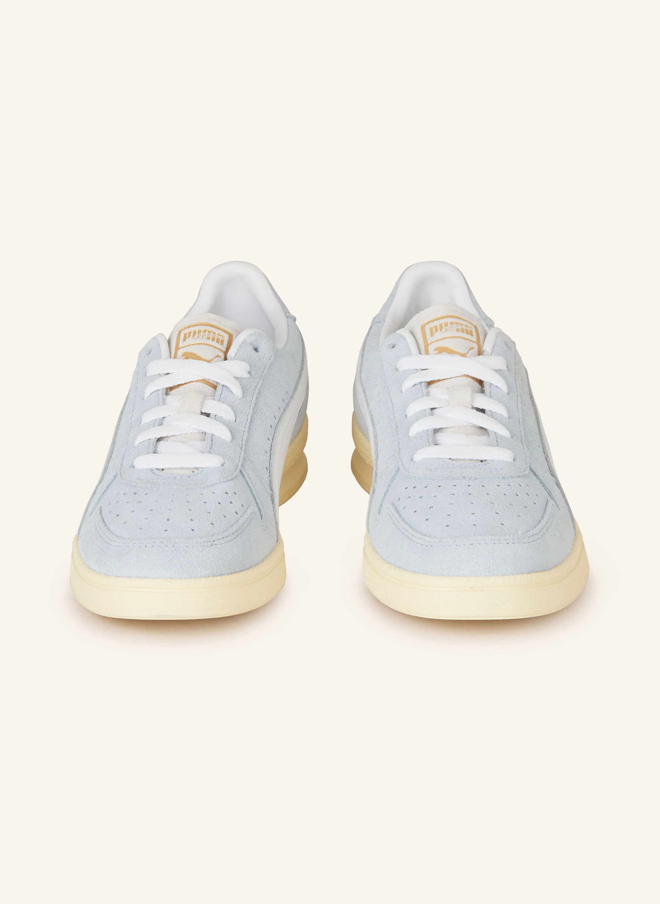 PUMA Sneaker INDOOR SOFT