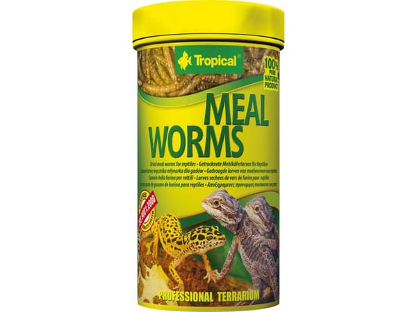 Tropical MEAL WORMS 250ml PUSZKA