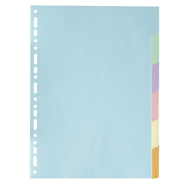 2 x 6 intercalaires Exacompta touches neutres format A4 carte recyclée 180 g