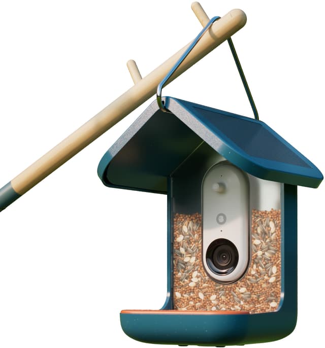 Bird Buddy solcelledrevet fuglefoderautomat med kamera (blå)