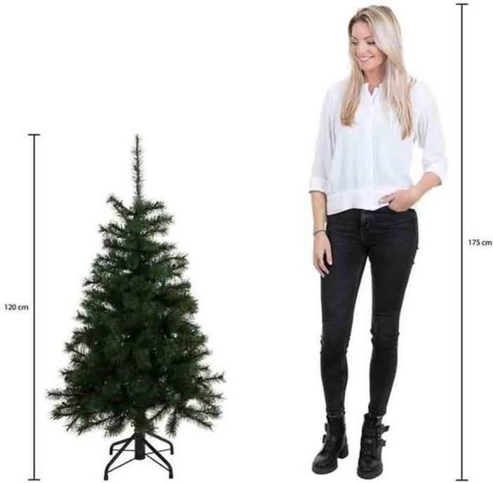 Black Box Trees Frasier Kunstkerstboom met LED verlichting - H120 cm - groen