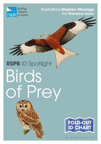 RSPB ID Spotlight - Birds of Prey - RSPB
