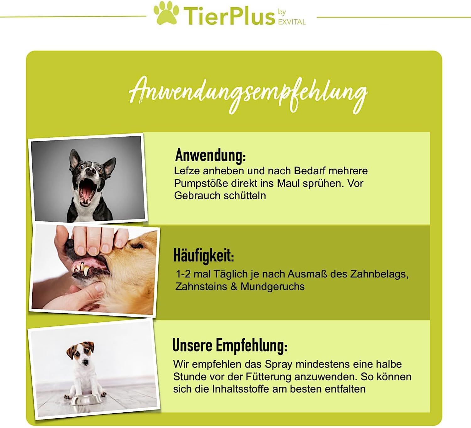 EXVital® Dentalspray für Hunde gegen Zahnbelag Zahnstein & Mundgeruch