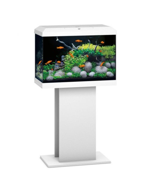 Juwel Aquarium Primo 70 2.0 62x32x41 cm - Aquaria