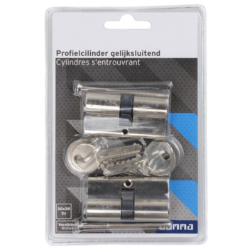 GAMMA Profielcilinder nikkel 30/30 mm gelijksluitend 2 stuks