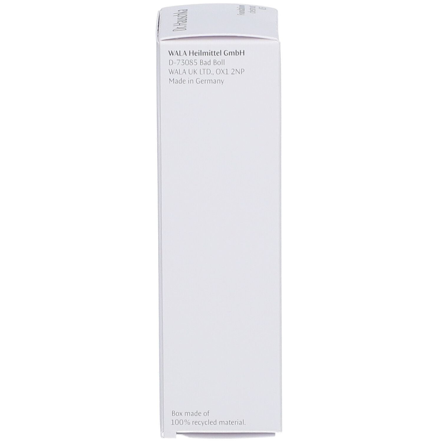 Dr. Hauschka Foundation 03 Chestnut