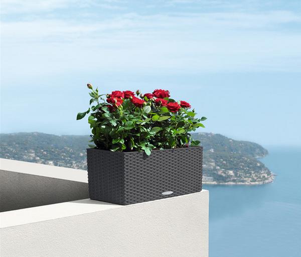 LECHUZA® Kunststoff-Kasten Balconera Cottage,