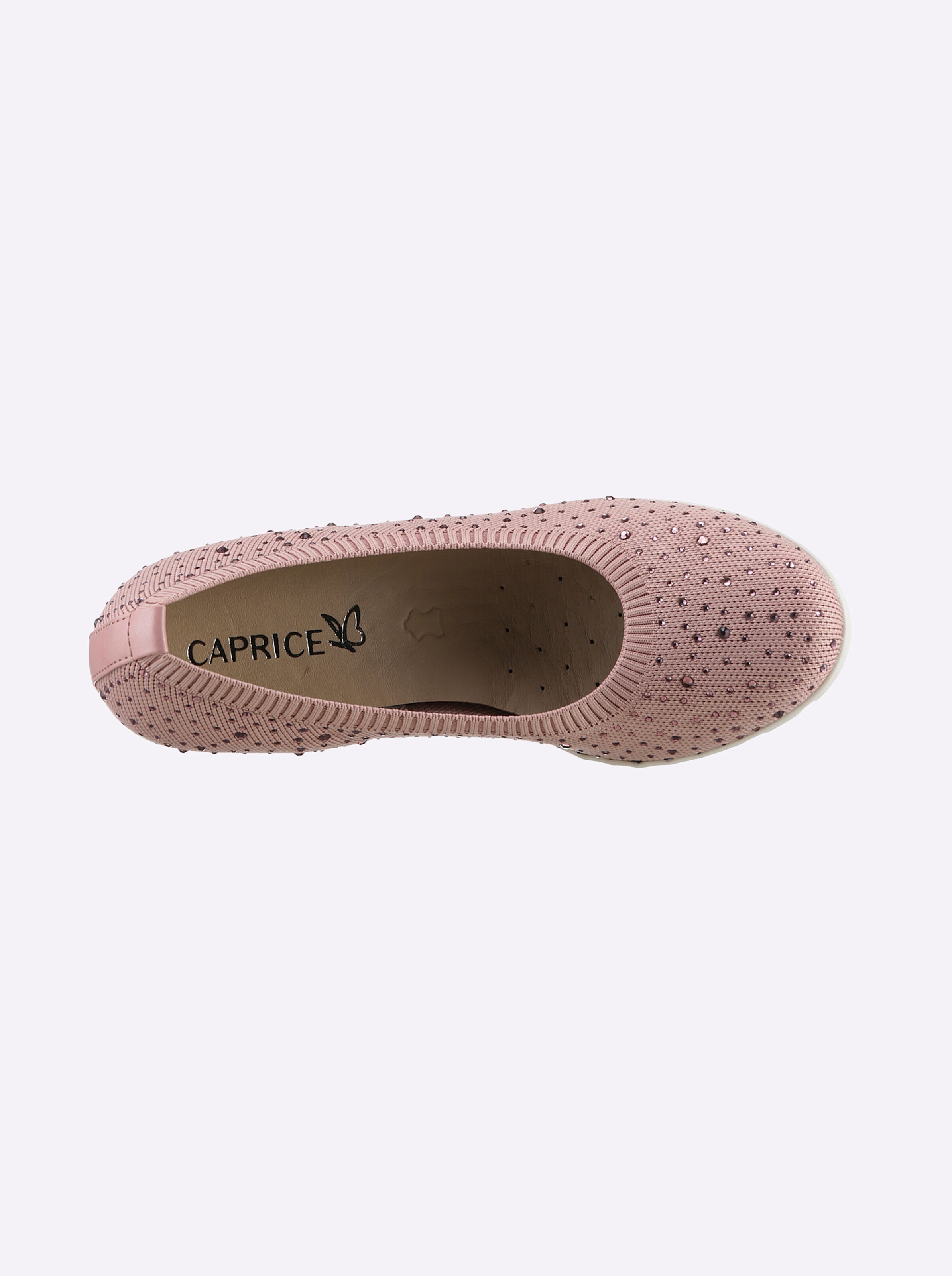 Caprice Ballerina in rose