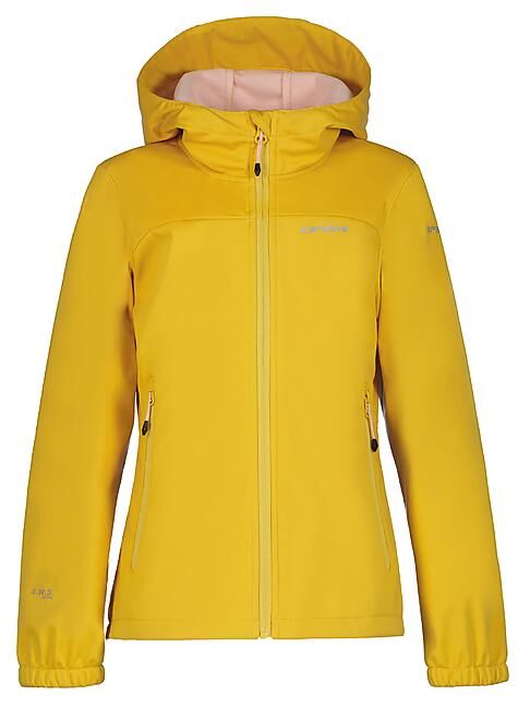 ICEPEAK - VESTE KLEVE JR