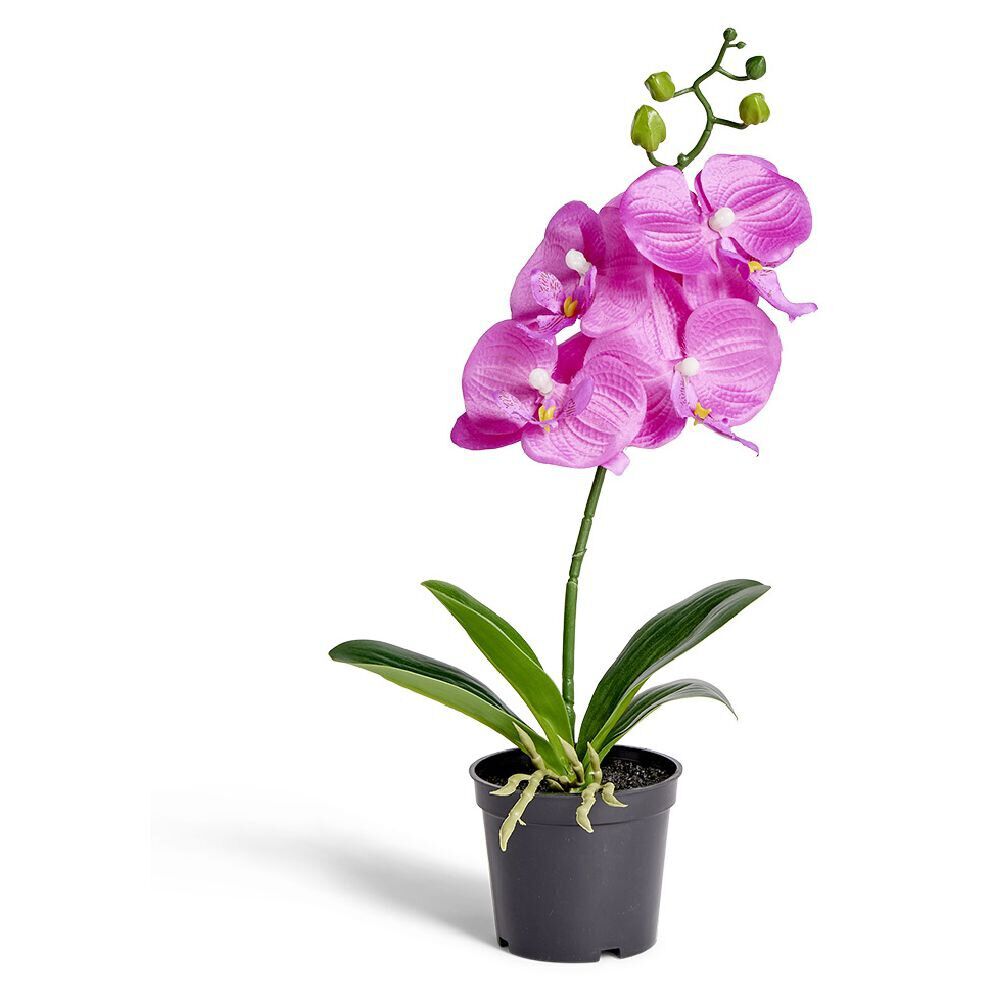 Orchidée artificielle rose H38cm