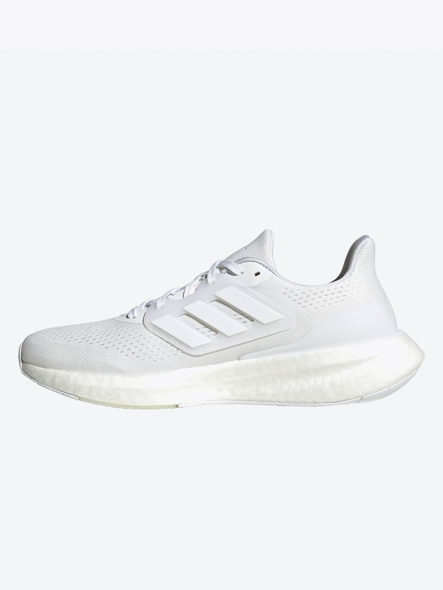 Pureboost 23