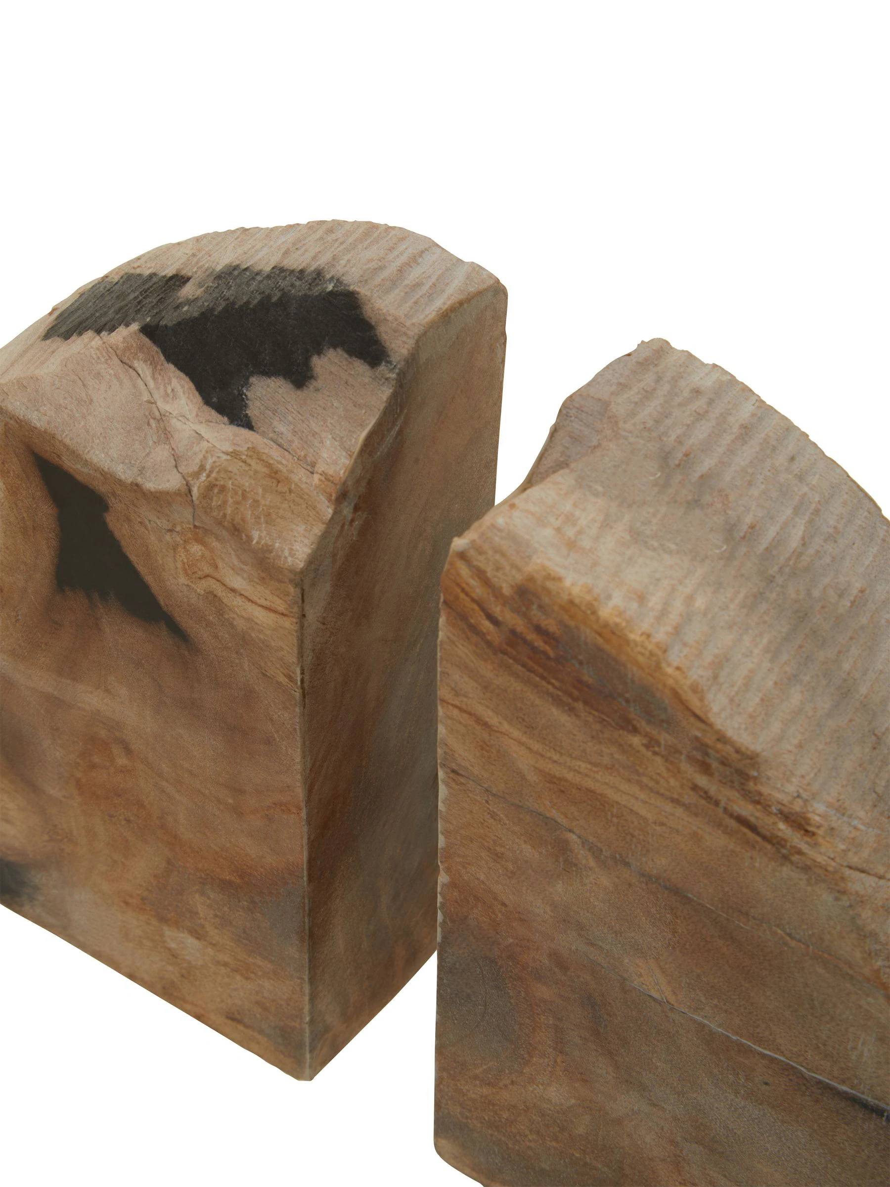 Fifty Five South Relic Set Of 2 Petrified Wood Bookends