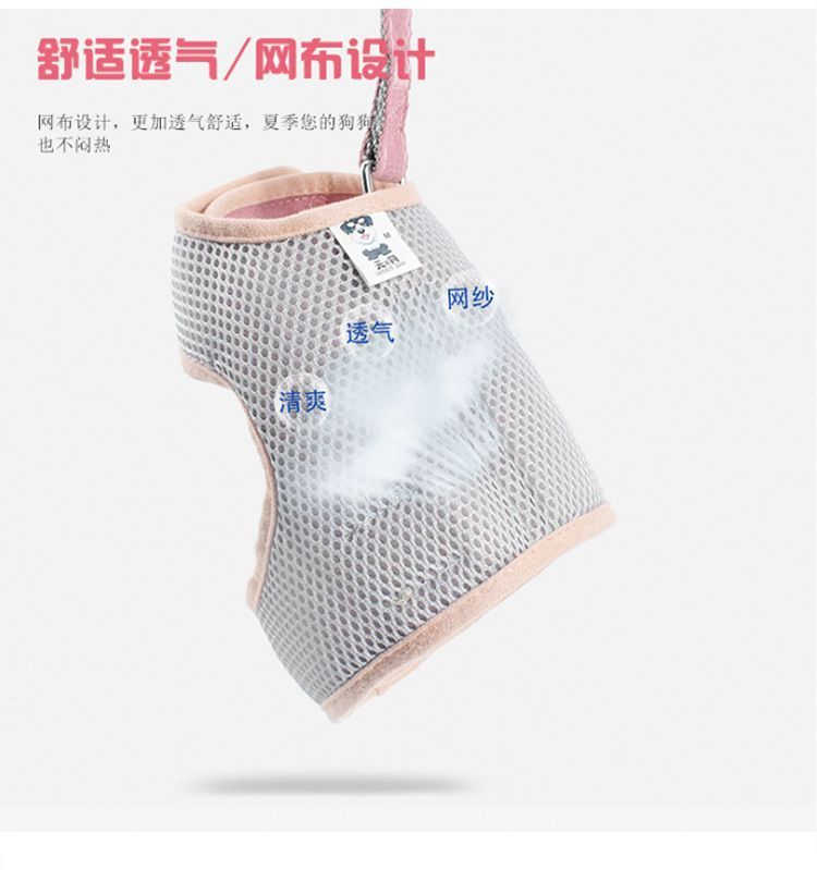 2 nachten - Bow Pet Harness