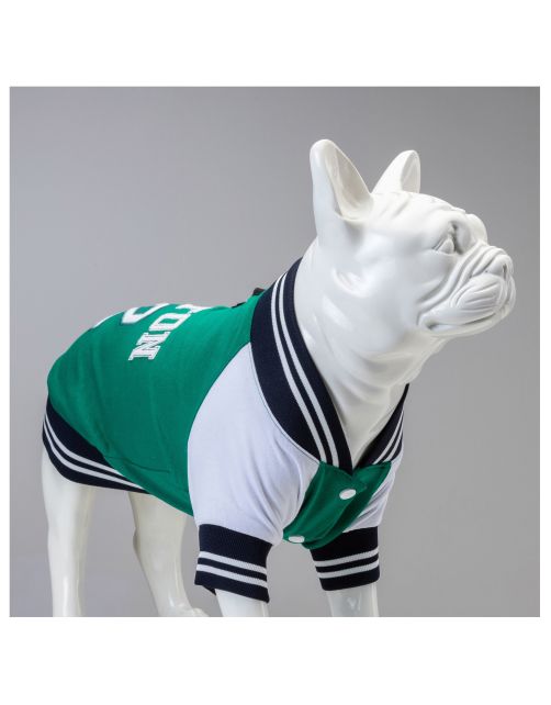 Lindo Hondenjas Boston - Hondenkleding - Groen 3