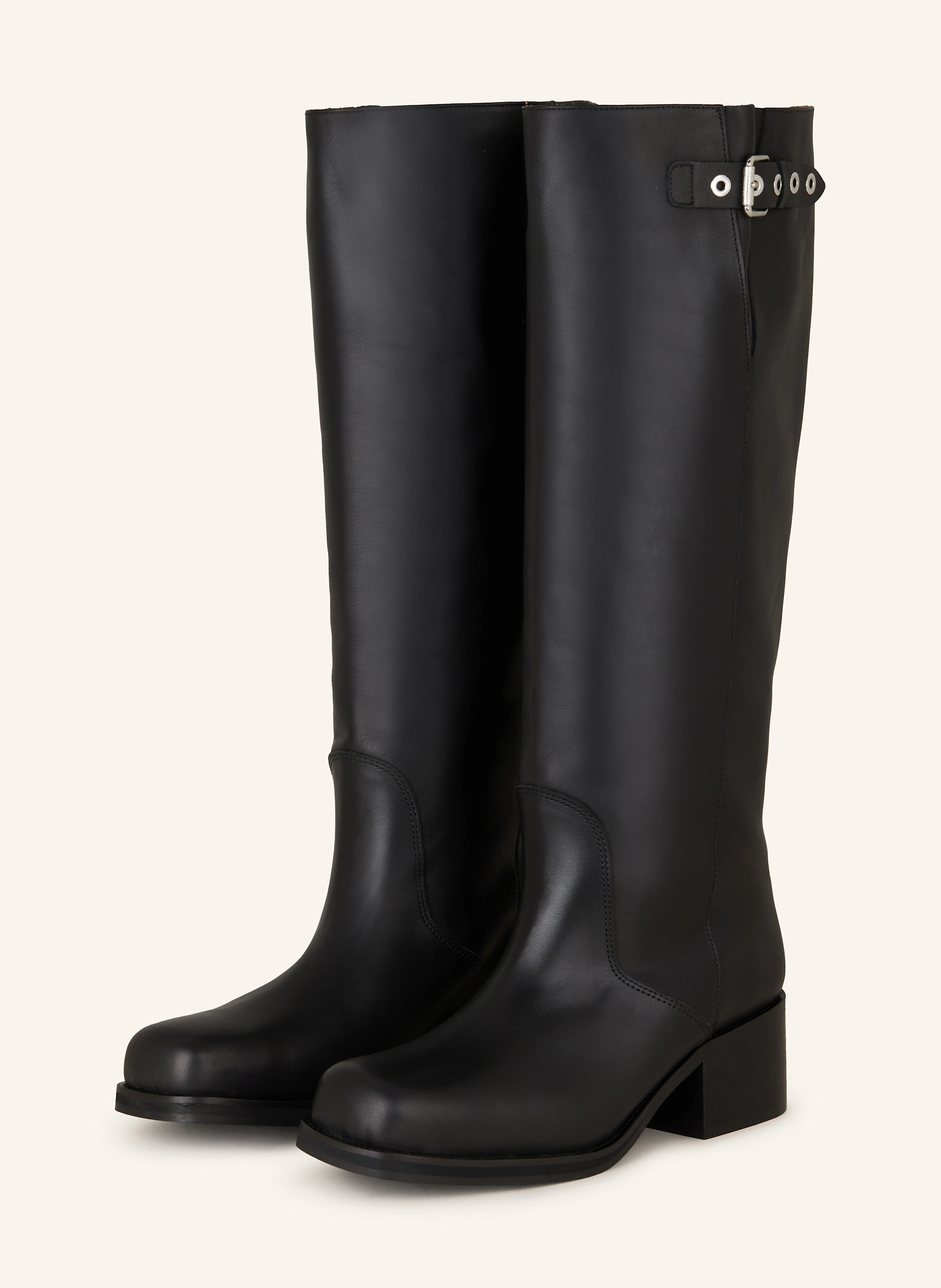 Toral Stiefel