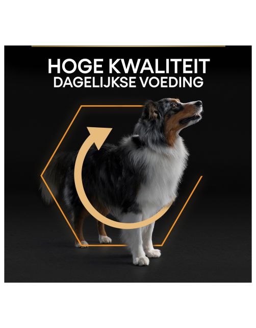 Pro Plan Dog Adult Medium Breed Kip - Hondenvoer