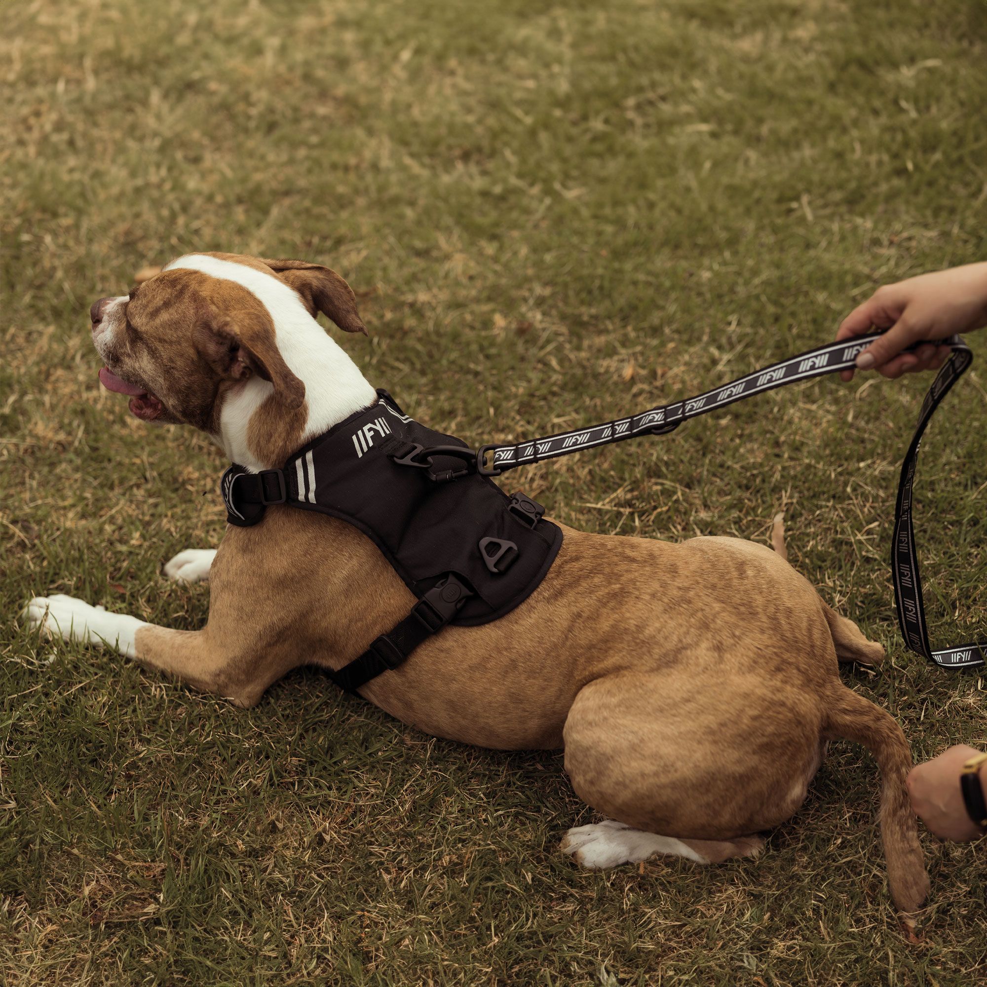 FuzzYard Active Go Hundegeschirr