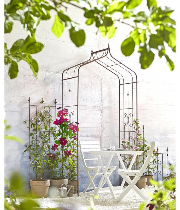 Dehner Kombi-Spalier Clematis, rost/gold