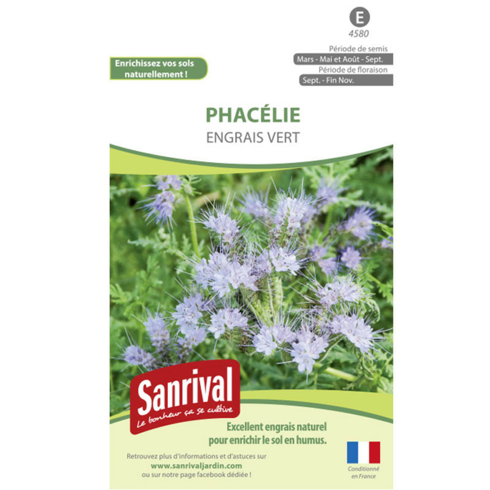 Graines phacélie engrais vert