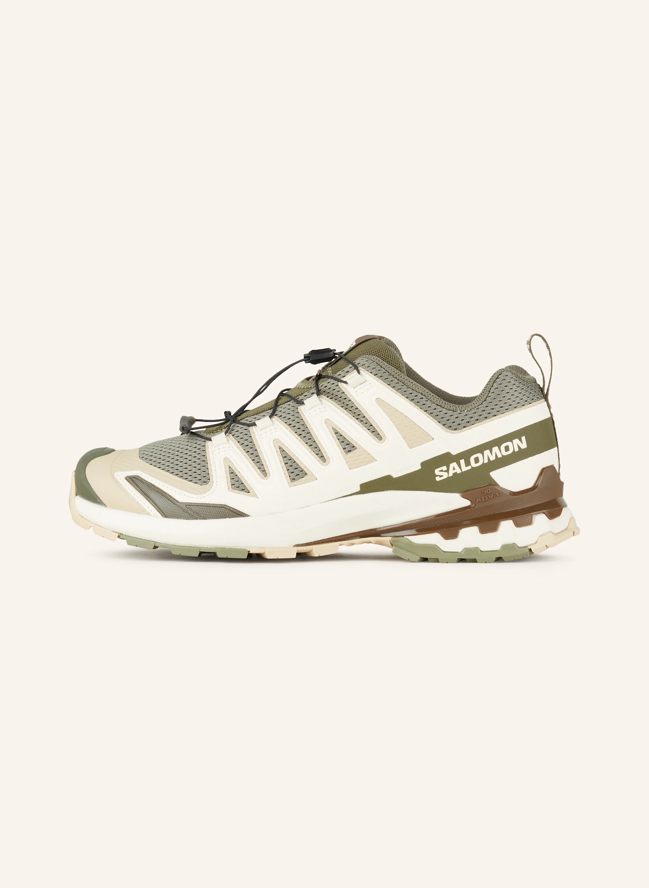 SALOMON Wanderschuhe XA PRO 3D V9