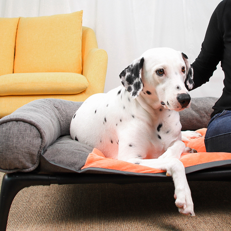 (120x73x15cm) Erhöhtes Haustier Bett Hundesofa Kühlendes Katzen Hochbett - Grau
