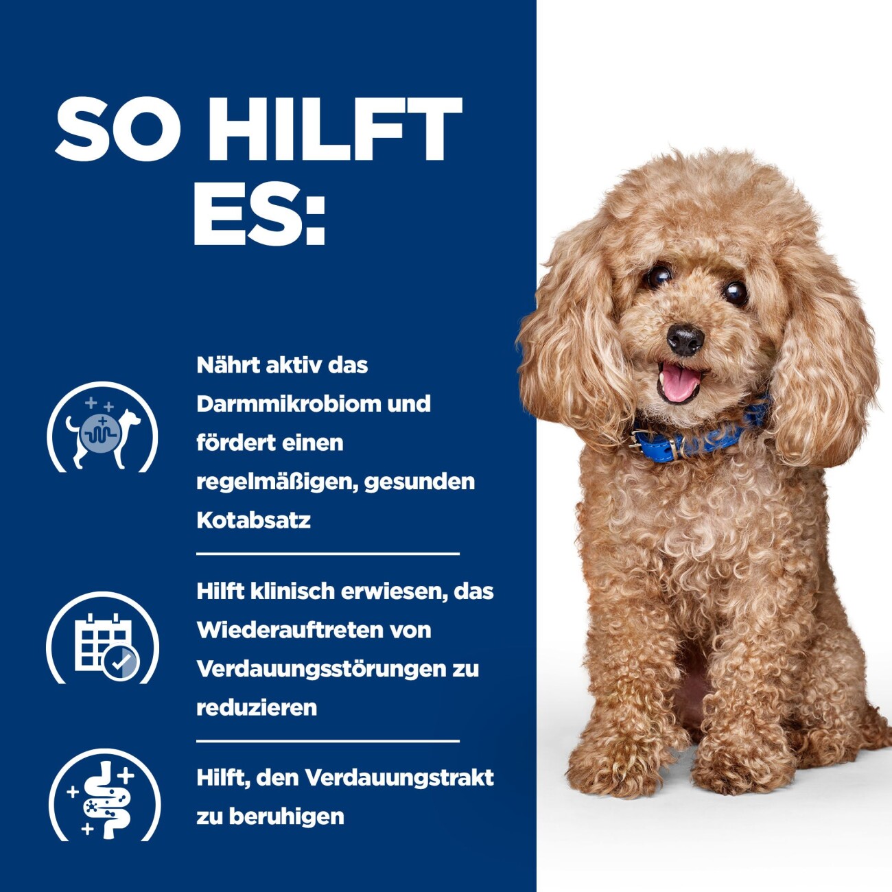 Hill's Gastrointestinal Biome Mini Digestive Huhn 6 kg