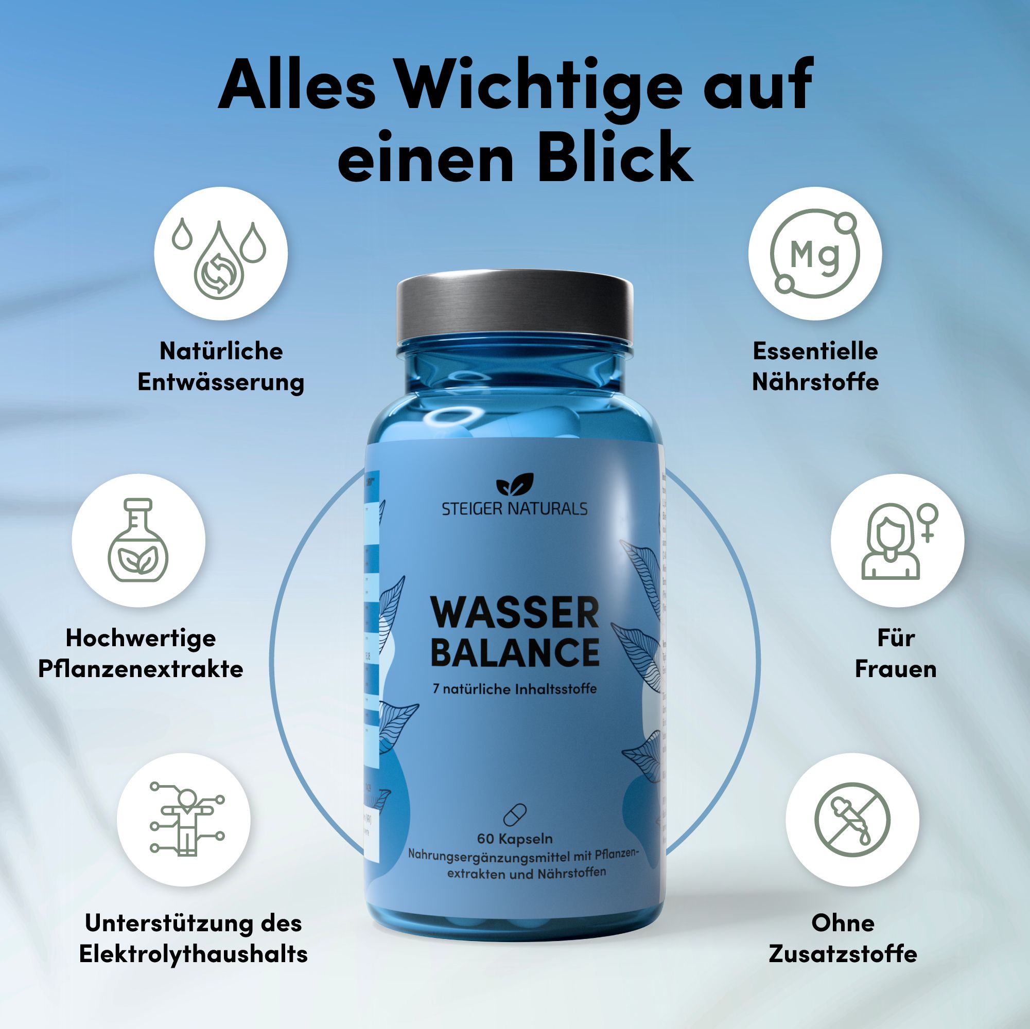Wasser Balance
