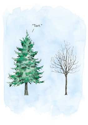 Tart