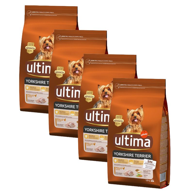 Ultima Dog Yorkshire