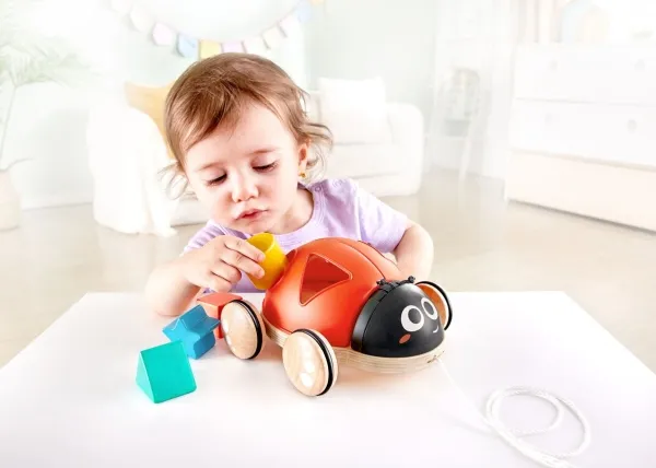 Hape Shape Sorter Ladybug