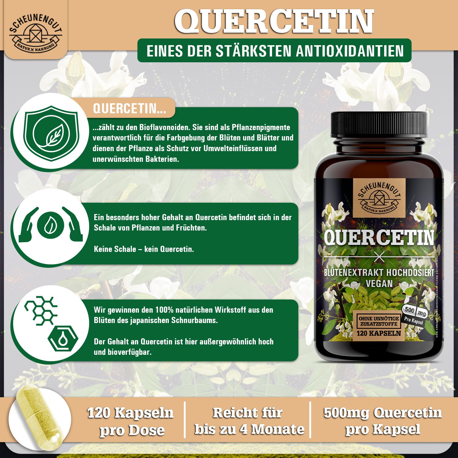 Scheunengut® Quercetin aus japanischem Schnurbaum Extrakt 25:1 | Mindestens 98%