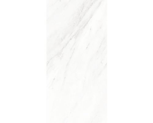 Kunststof paneel G x Wall+ marmergrijs 600 x 300 x 5 mm