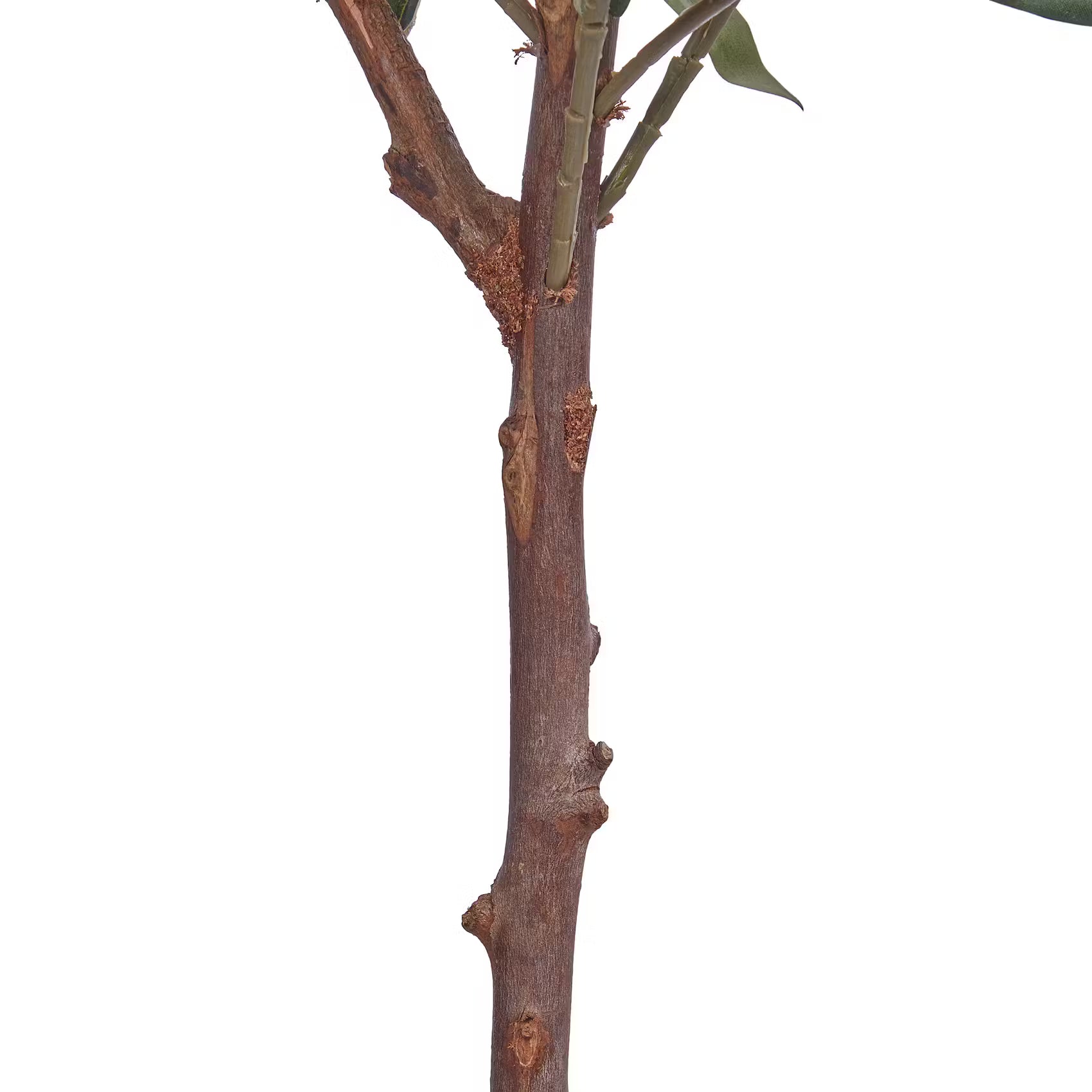 FLORISTA Kunstpflanze Olivenbaum