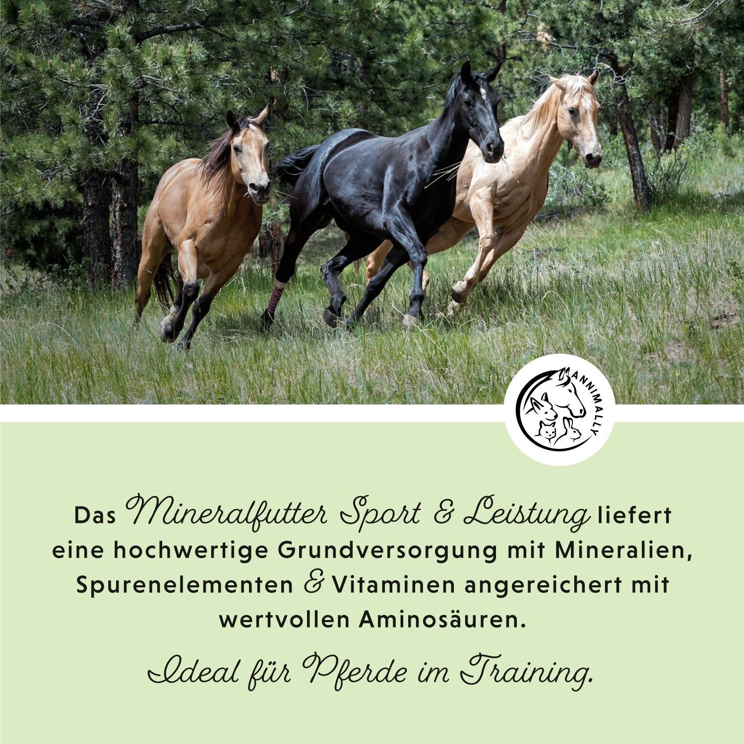 Annimally Mineralfutter Pellets Sport & Leistung