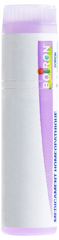 Boiron Rhus toxicodendron 30 CH<br>1 Dosis, Streukügelchen