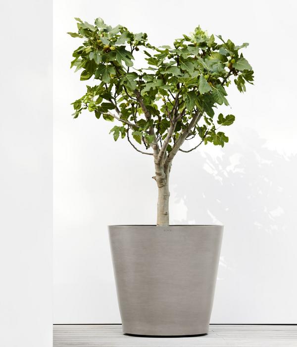 Ecopots Kunststoff-Topf Amsterdam mit Rollen,