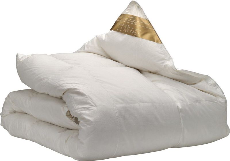 Ten Cate - 4-Seizoenen Dekbed - 140 x 200 - Donzen Dekbed - 100% Ganzendons