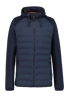 Arzberg Jas