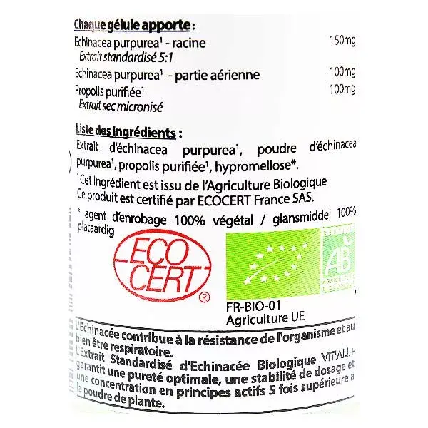 Vit'all+ Complexo de Equinácea Orgânica 60 cápsulas vegetais