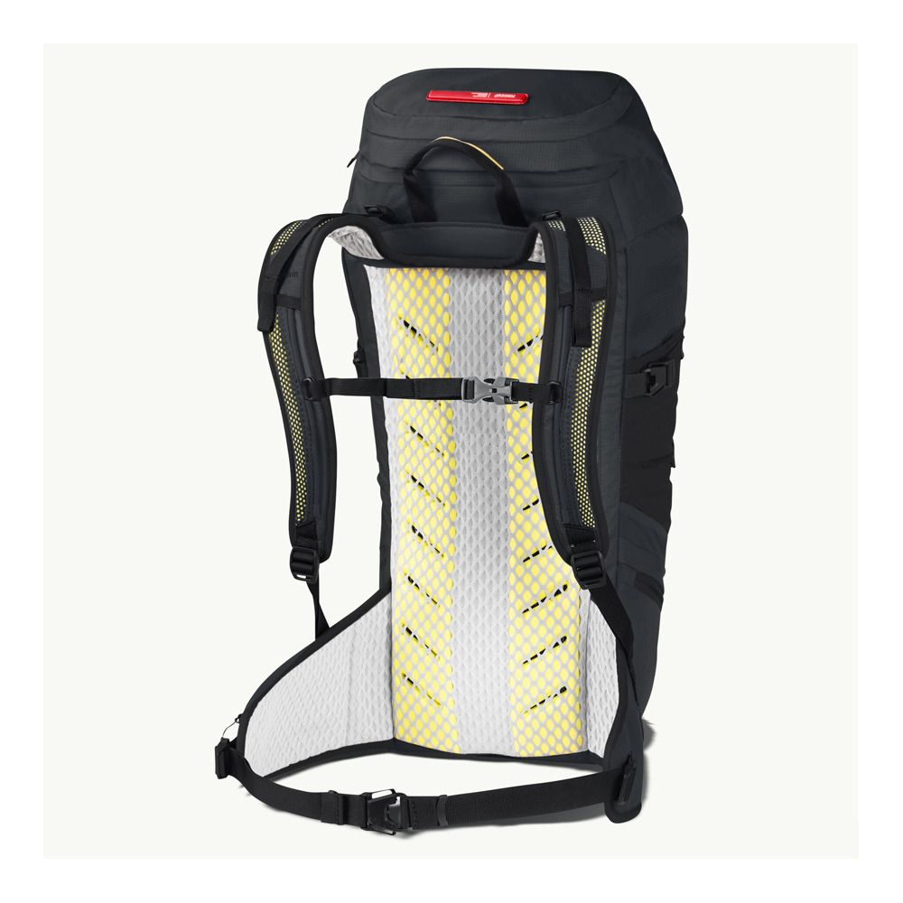 Jack Wolfskin WOLFTRAIL RECCO 28L - Sac À dos phantom
