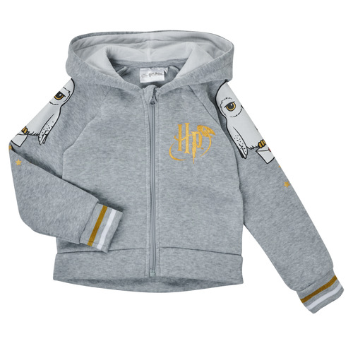 TEAM HEROES  - ENSEMBLE HARRY POTTER - Gris