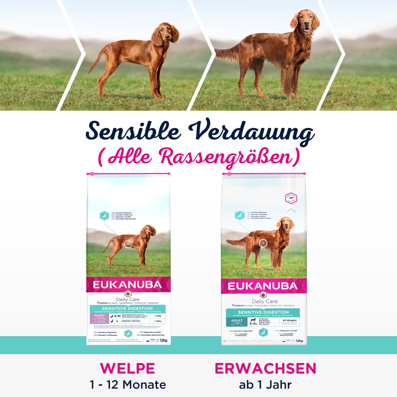 EUKANUBA Trockenfutter Hund Daily Care Sensible Verdauung Adult 12 kg