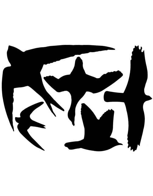 Best For Birds Raamstickers Vogel Assorti - Afweermiddel -