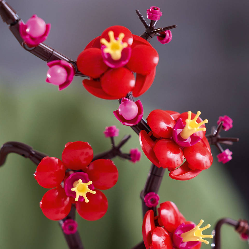 LEGO Botanicals Japanse abrikoos 10369