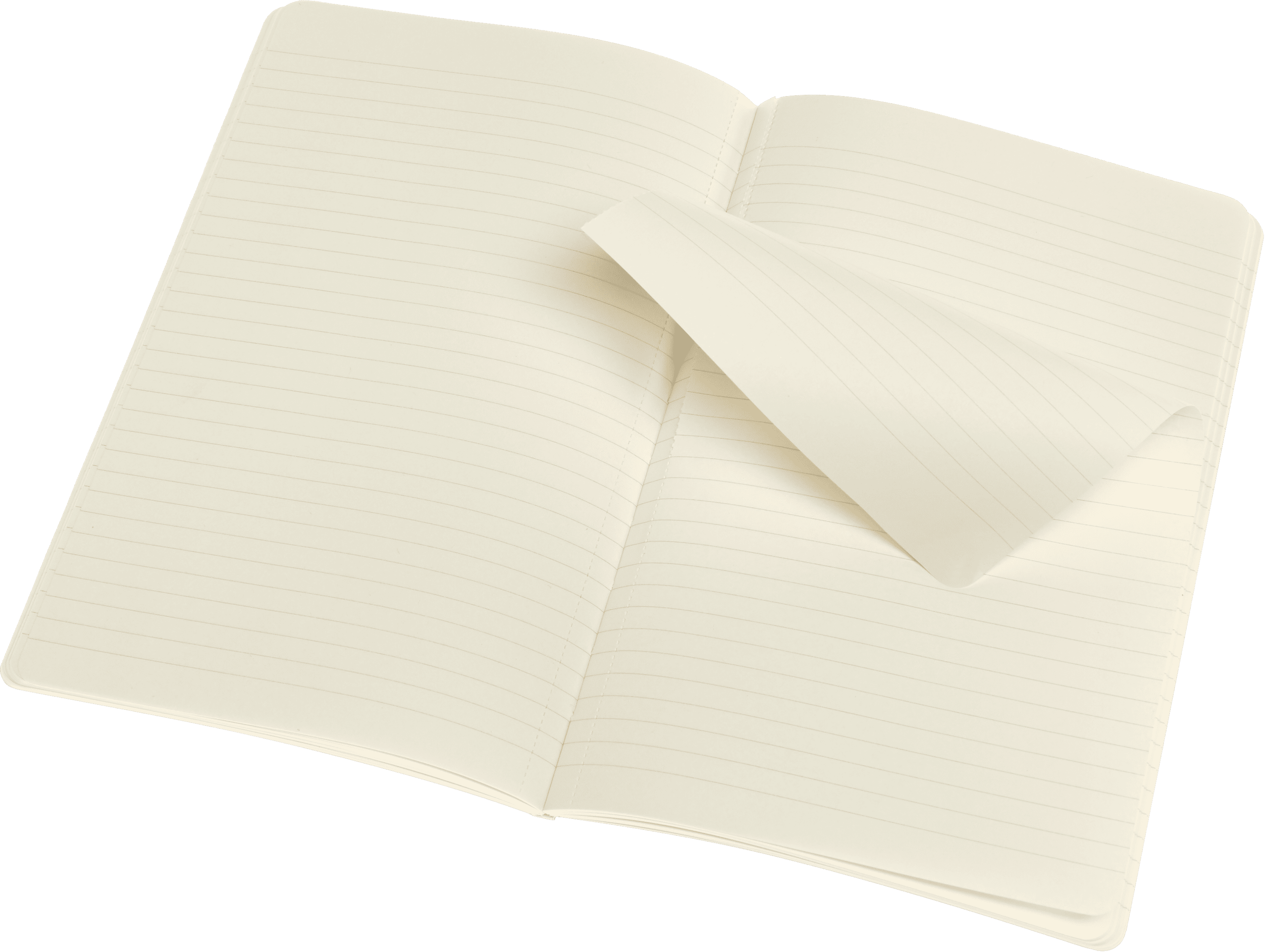 Volant Journals Set of 2
