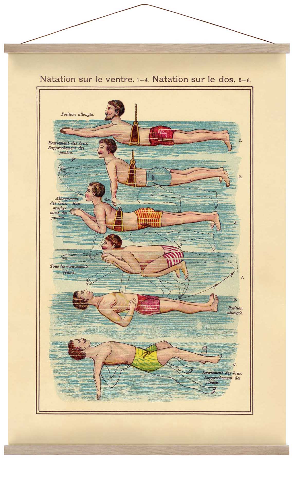 Der Schwimmer