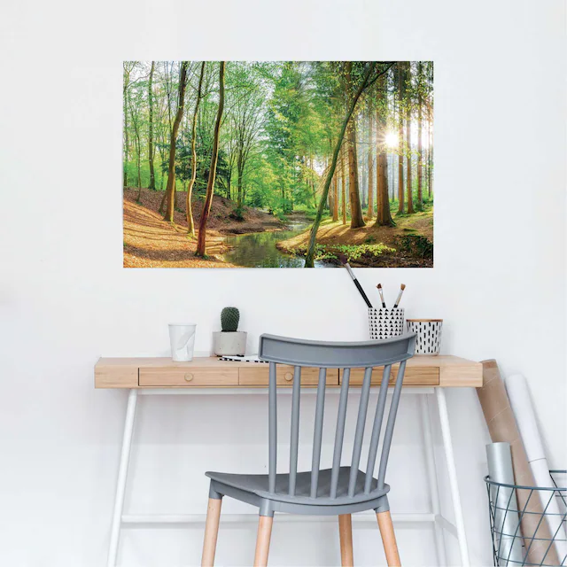 Reinders! Poster »Wald in der Sonne«