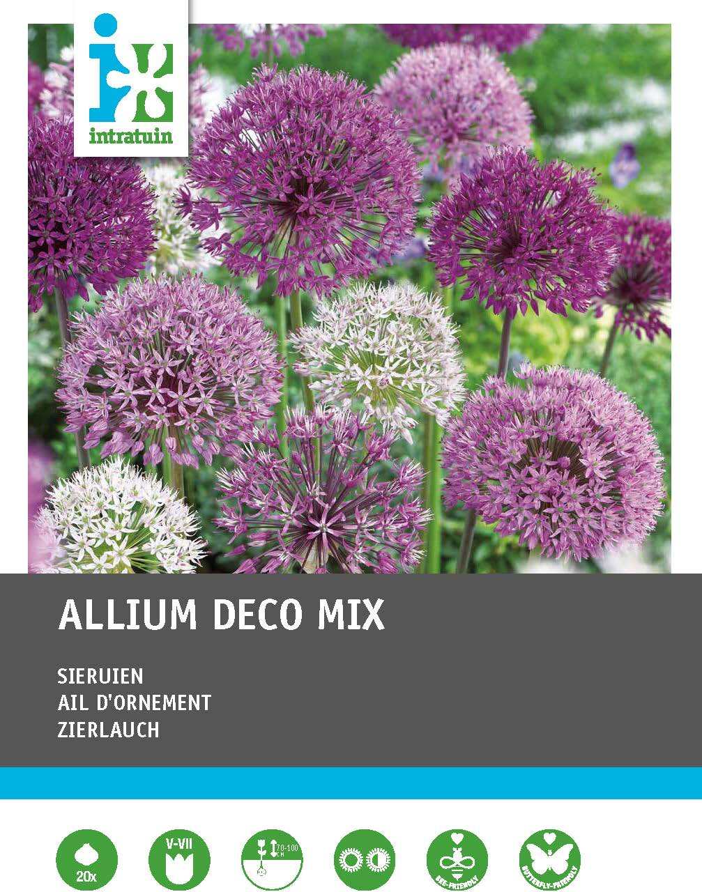 Intratuin bloembollen Sierui (Alium) gemengd 20 stuks