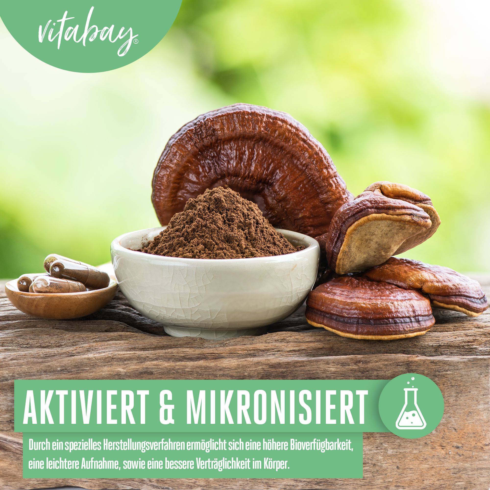 Vitabay Reishi Pilz Extrakt 500 mg